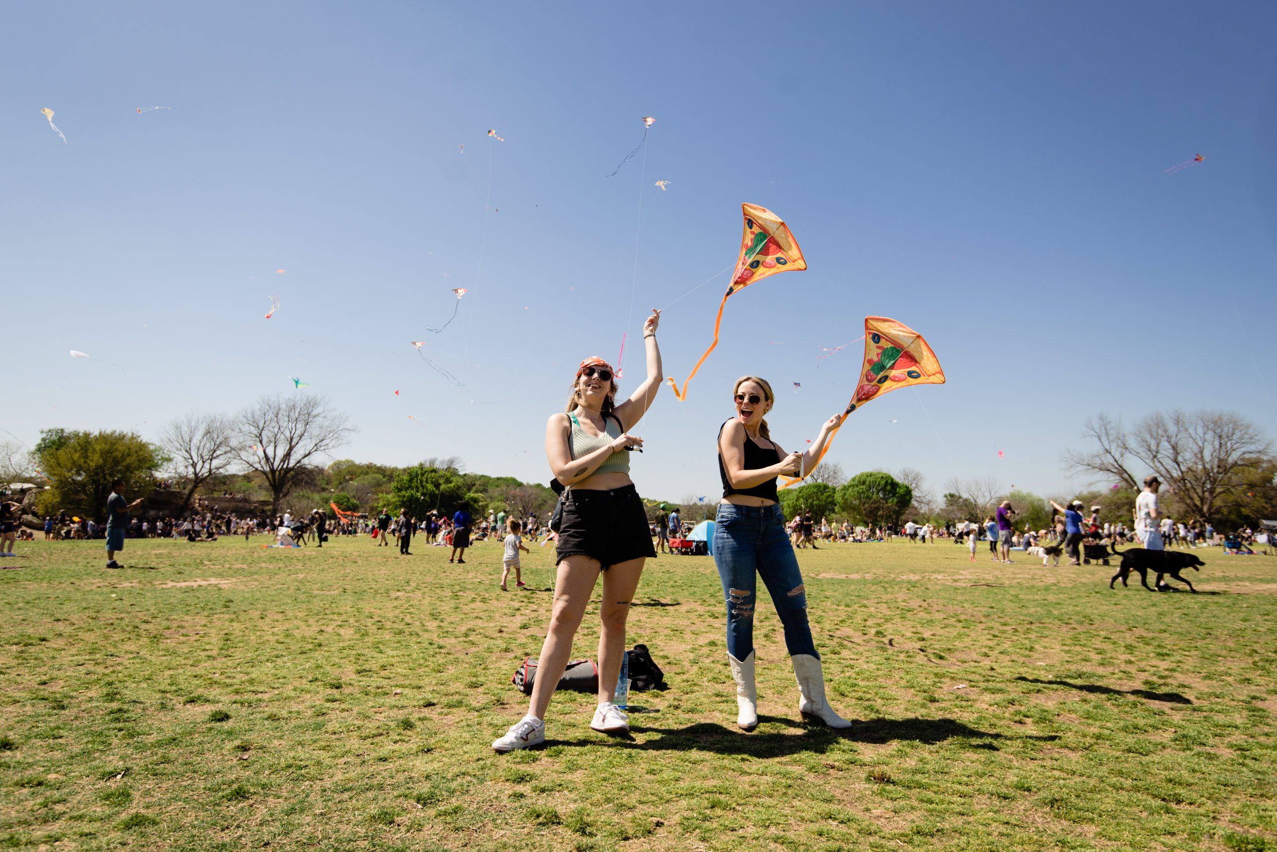 About the ABC Kite Fest ABC Kite Fest